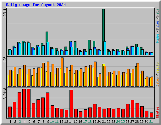 Daily usage for August 2024
