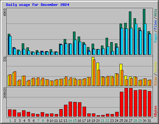 Daily usage for December 2024