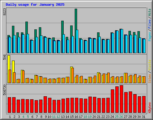 Daily usage for January 2025