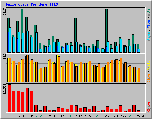 Daily usage for June 2025