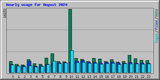 Hourly usage for August 2024