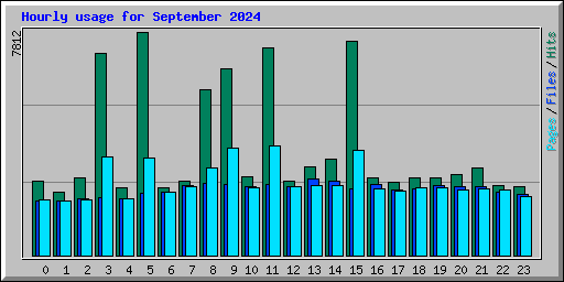 Hourly usage for September 2024