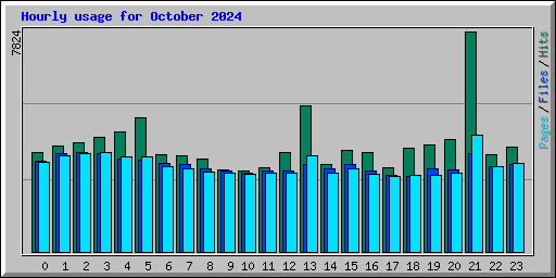 Hourly usage for October 2024