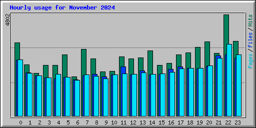 Hourly usage for November 2024