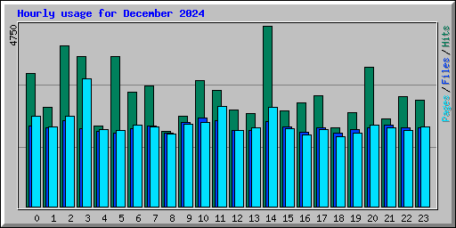 Hourly usage for December 2024
