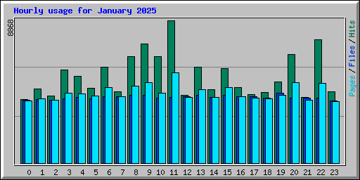 Hourly usage for January 2025