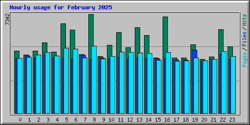 Hourly usage for February 2025