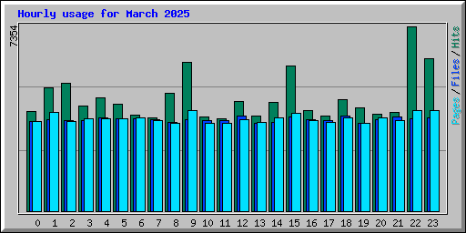 Hourly usage for March 2025