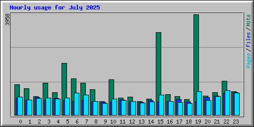 Hourly usage for July 2025