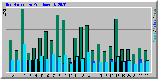 Hourly usage for August 2025