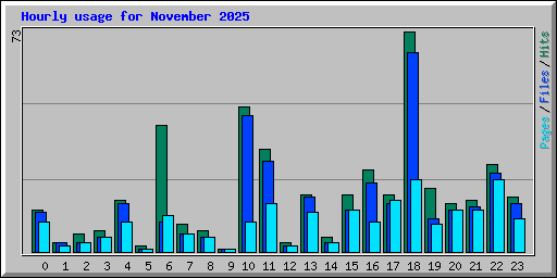 Hourly usage for November 2025
