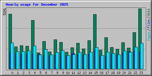 Hourly usage for December 2025